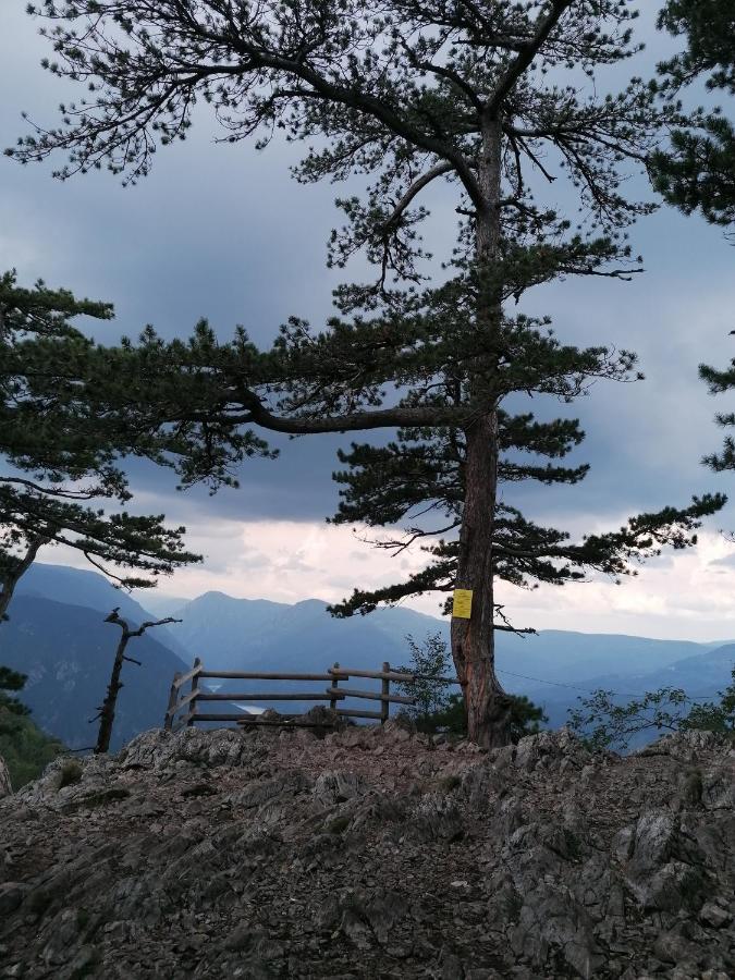Vikendica Moonlight Villa Zaovine Eksteriør bilde